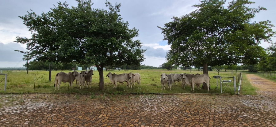 5 Bedroom Property for Sale in Swartruggens North West